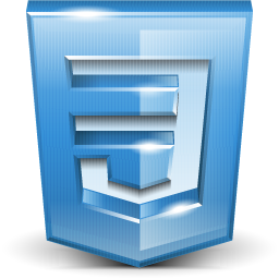 css3 logo